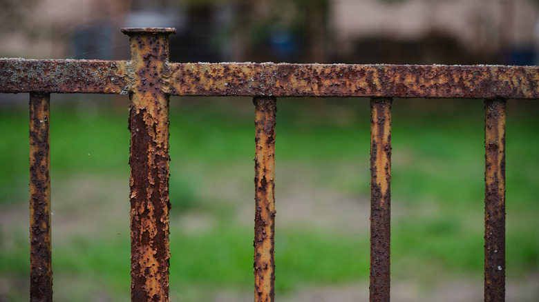 rusted metal fence with greenery in the background