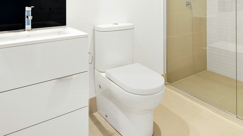 Skirted toilet in washroom area