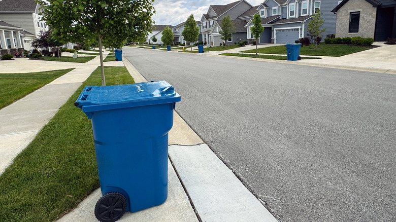 Trash can with lid to keep wasps away from food