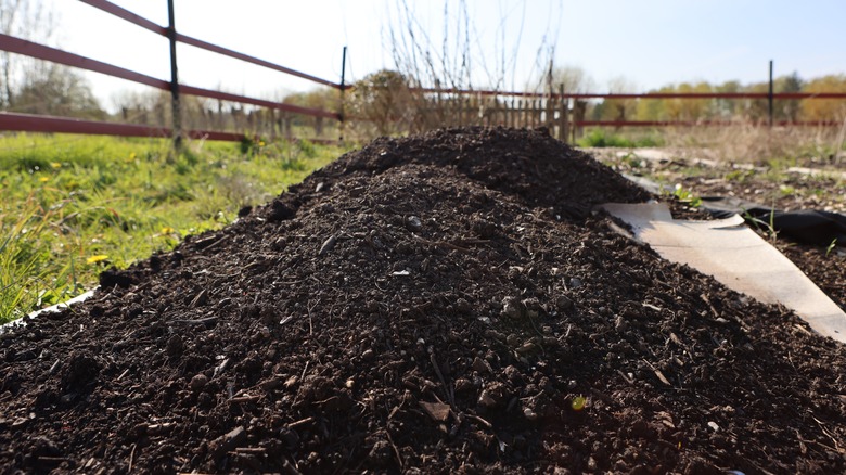 A mound of compost spread over pieces of cardboard in a garden with grass around the edges and a split rail fence in the distance.