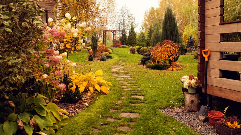 fall garden with colorful plants