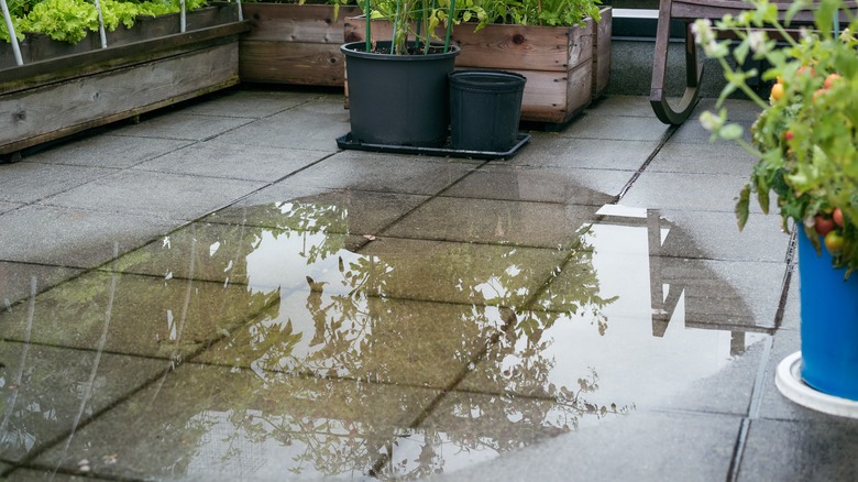 standing water on patio