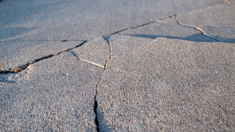 cracked, heaving patio concrete