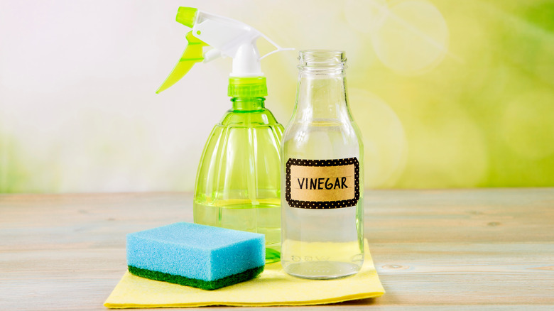 Vinegar in bottle, scrub pad