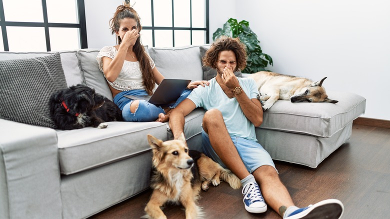 Couple in smelly home