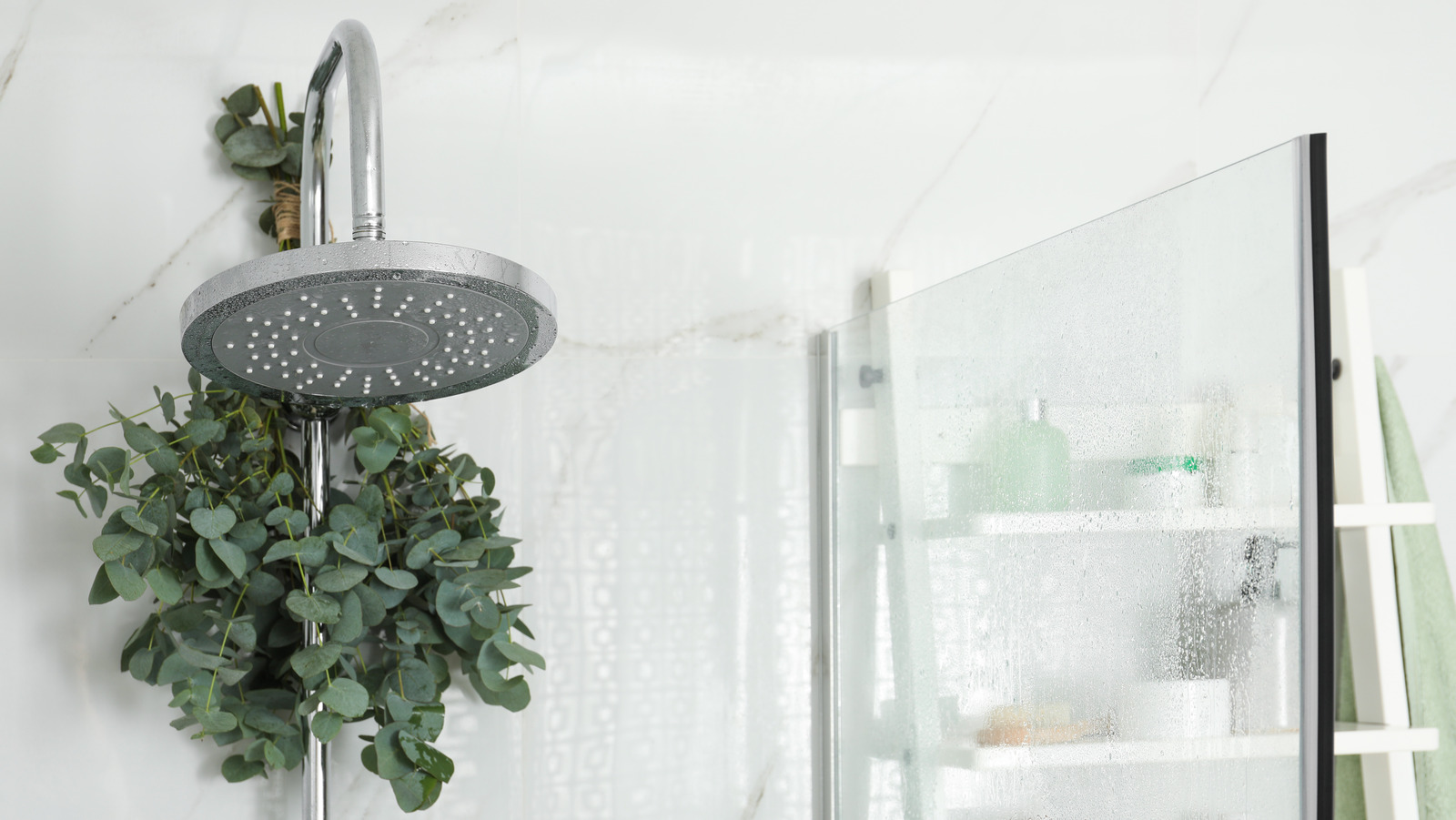 Shower + Eucalyptus in 2023  Aesthetic bathroom, Bathroom