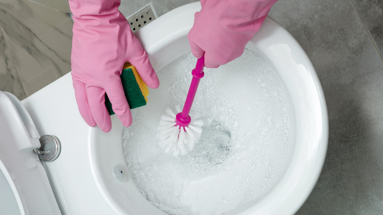 toilet brush rinsing in toilet