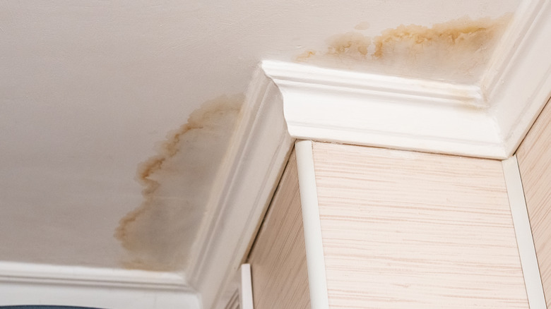 The Easiest Way To Fix A Ceiling With Water Damage