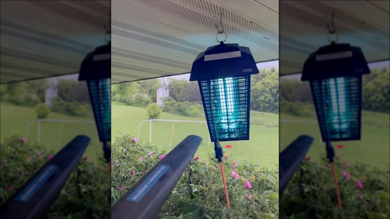 leaf blowing a bug zapper