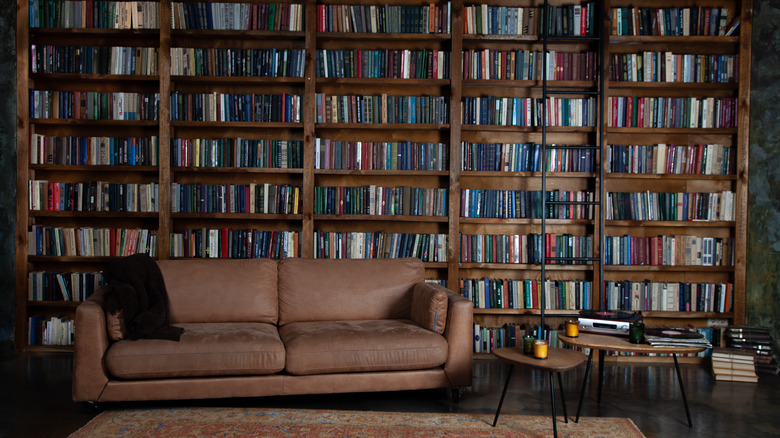 large bookshelf in room