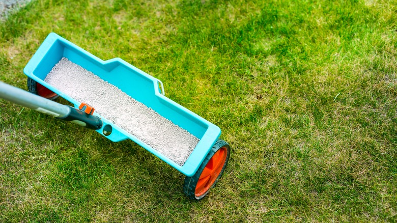 tool fertilizing lawn