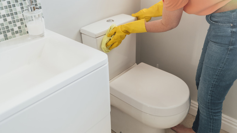 person cleaning toilet