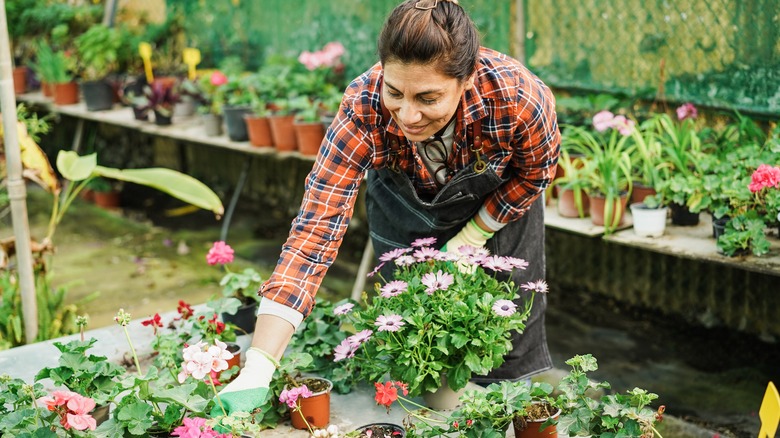 woman with plants