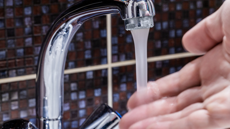 Person's hand under faucet