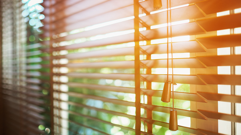 Sun shining through blinds