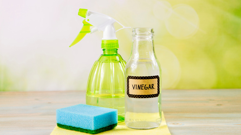 Spray bottle and vinegar bottle