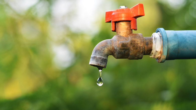 Dripping outdoor faucet