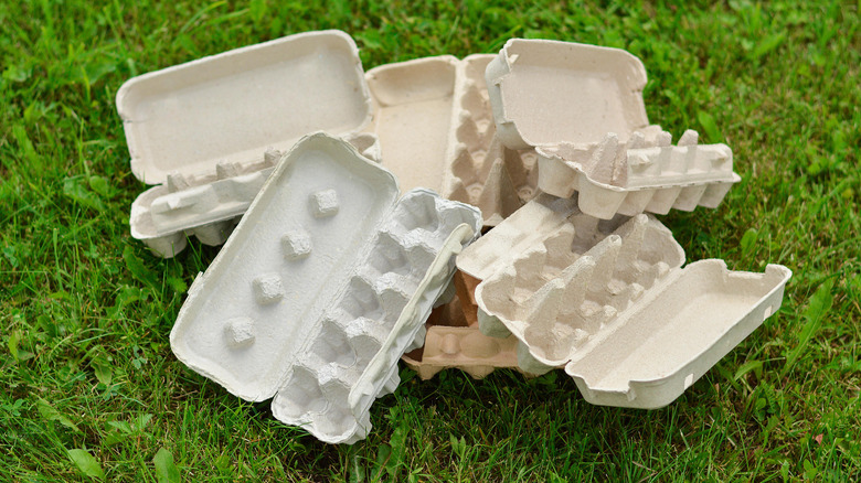 Egg cartons on grass