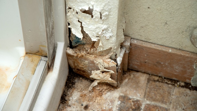 Rotted drywall near glass shower door