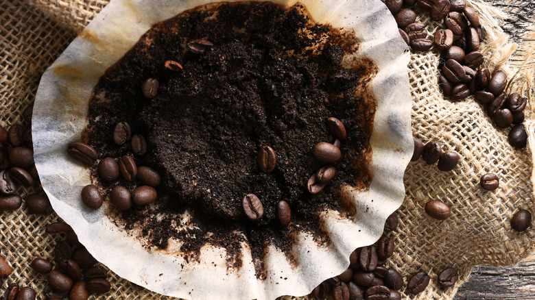 Used coffee grounds and beans