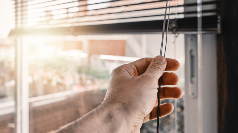 Hand adjusting blinds