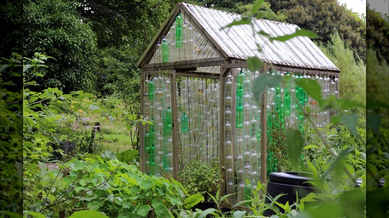 greenhouse made of plastic bottles