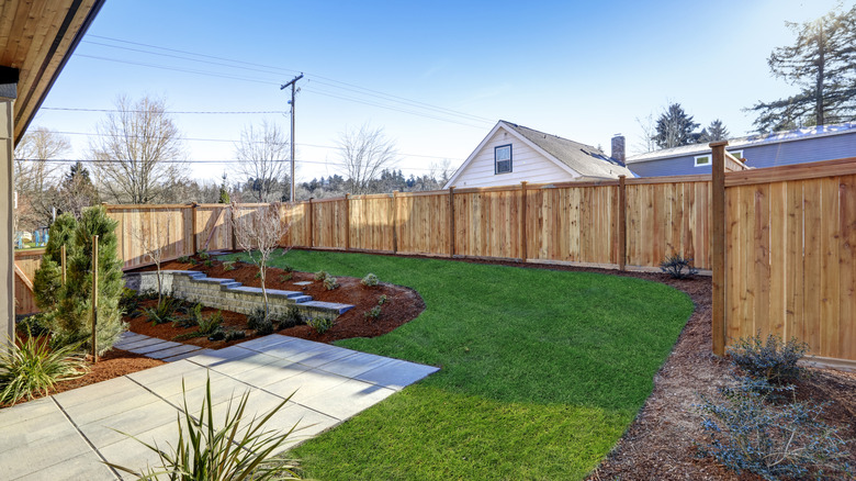 backyard with a sloped garden