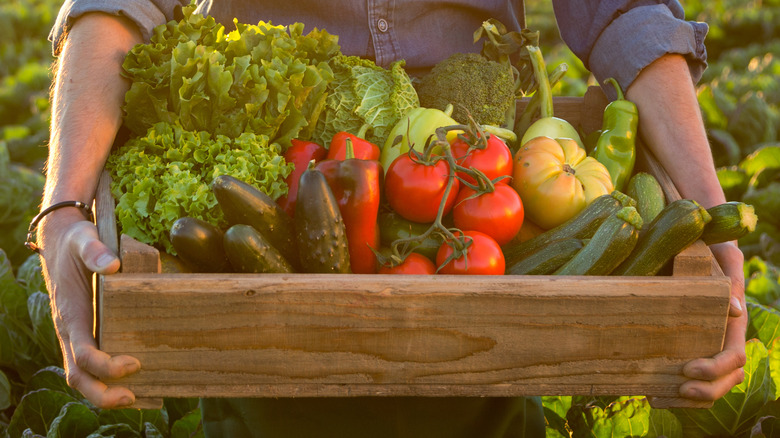 crate of garden vegetables