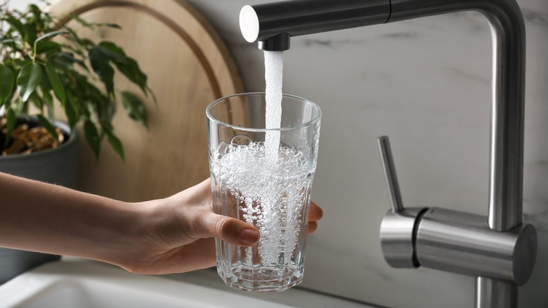 person filling glass with water