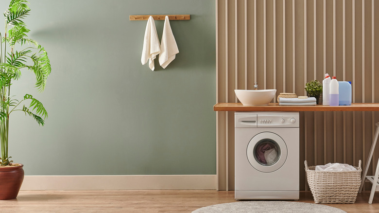 Uncluttered minimalist laundry room 