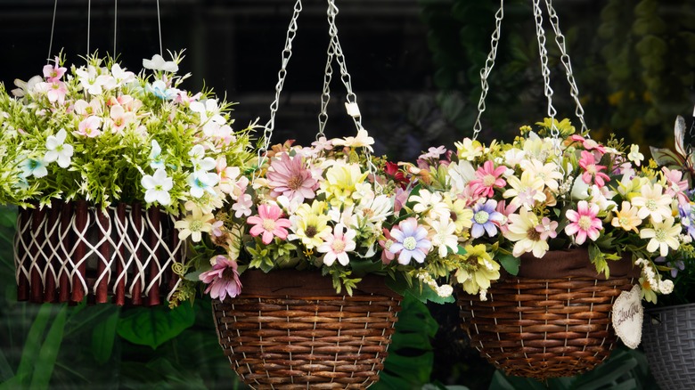 hanging baskets with plants