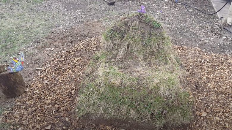 dirt chair with patchy grass