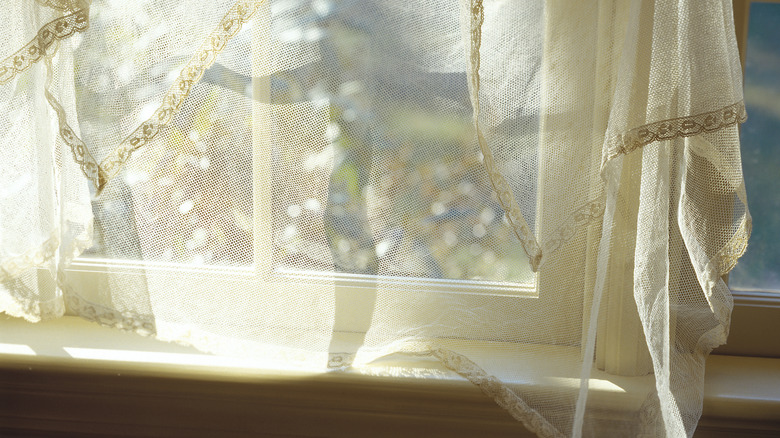 lace curtain on window