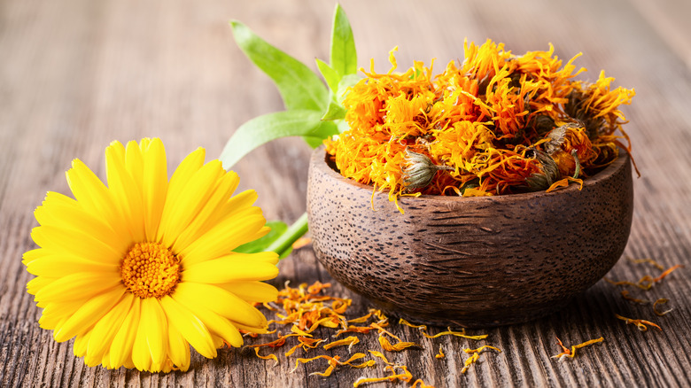 dried calendula petals fresh flower