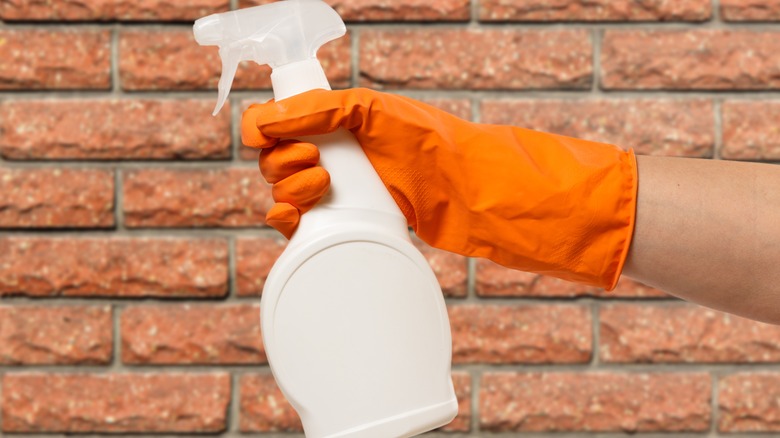Spray bottle in front of brick wall