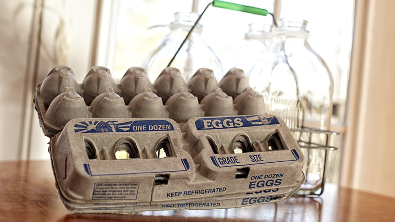 empty egg cartons on counter