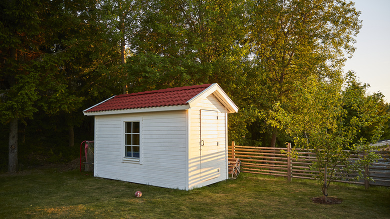 backyard shed