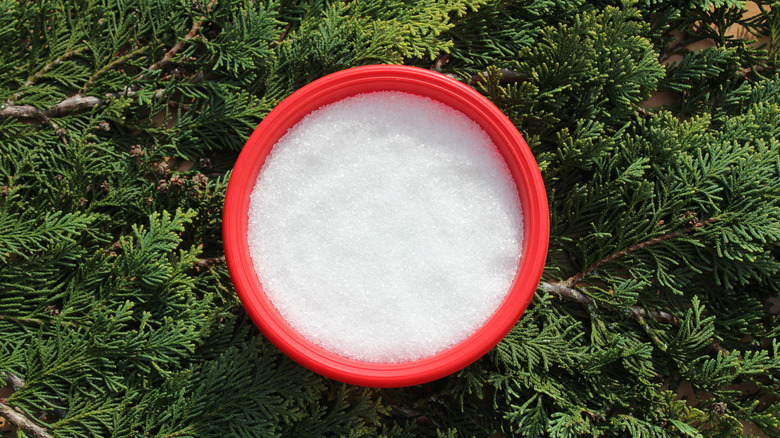 bowl of epsom salt