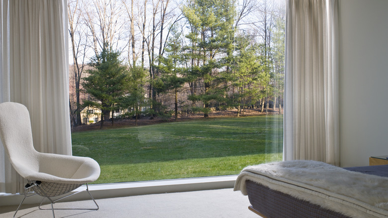 A large picture window in a modern home overlooks greenery.