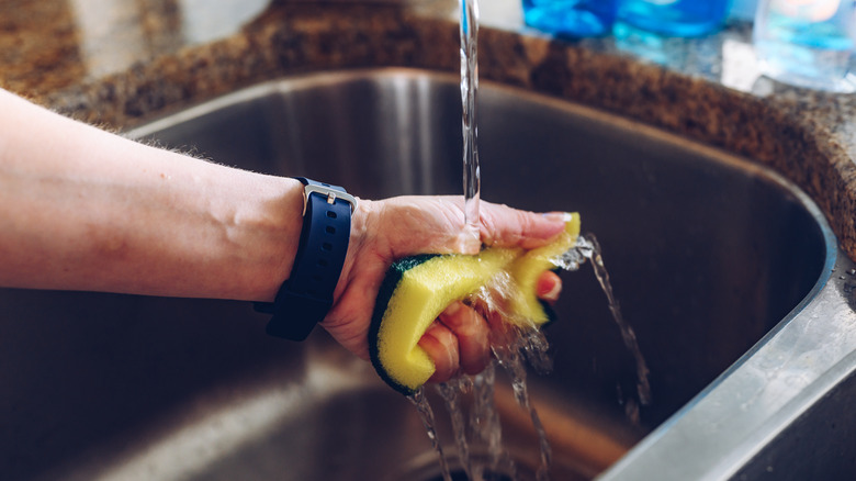 Sponge in hand over sink