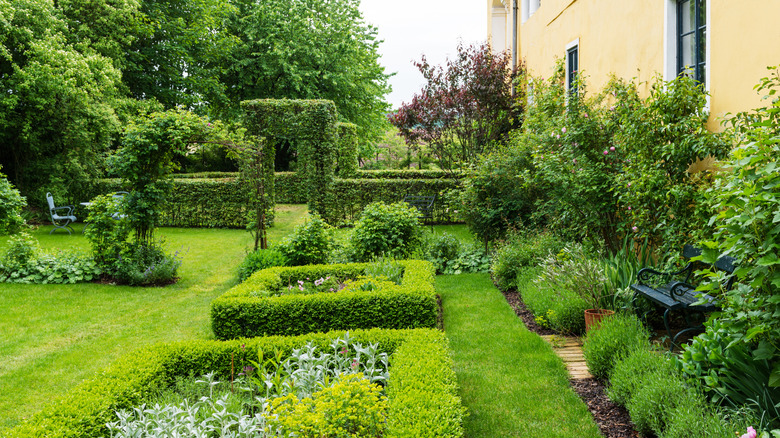 Manicured garden with various shaped hedges