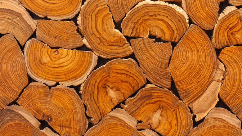 Fresh cut teak logs stacked one atop the other.