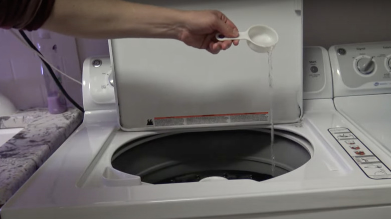 Hand adding white vinegar to washing machine