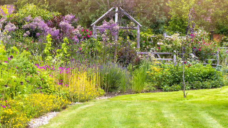 Colorful, lush flower garden with many different plants near grassy yard