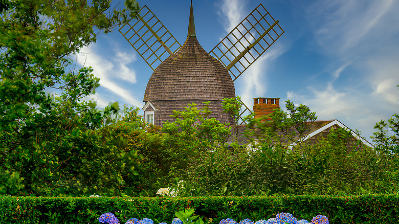 The Hamptons windmill view