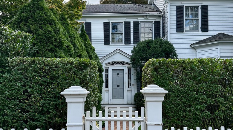 Privet hedge in Hamptons