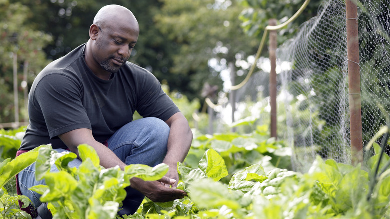 man gardening