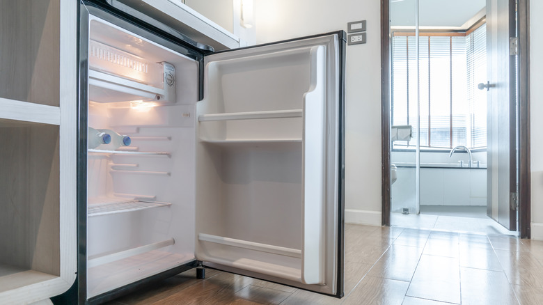 Fridge with open door