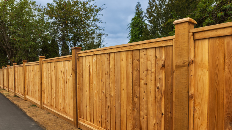 A tall privacy fence lining a paved path