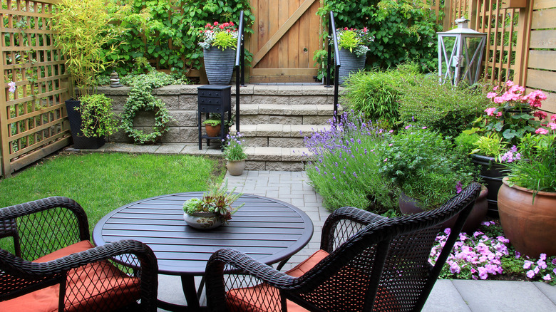 small backyard garden